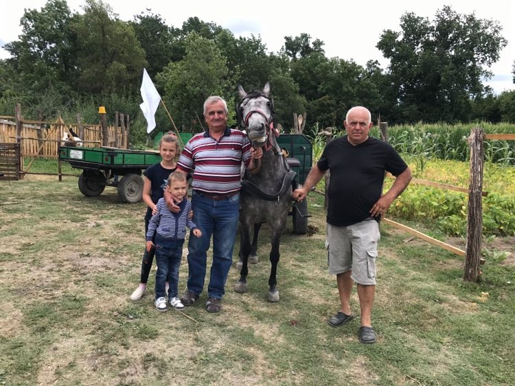 Rajin i Dikić ljubav prema konjima već preneli na unuke