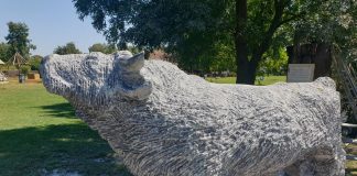Bara Zasavici ima svoju svetsku atrakciju! Skulptura bika od kamena starog milijardu godina! sremska mitrovica