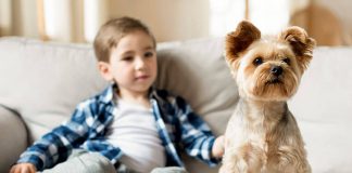 Da li su kućni ljubimci pravi izbor za dete sa cerebralnom paralizom?