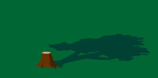 Potkresivanje grana ili uništavanje cele frilens šume? Udruženje frilensera i preduzetnika Srbije