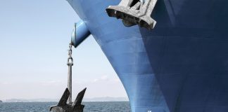 Izvoz voća, povrća i druge hrane iz Srbije za dve godine porastao 50 odsto – siguran transport često presudan