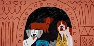 Šest srpskih filmova i dve manjinske koprodukcije na 49. FEST-u