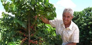 U čemu se ogleda specifičnost Grand Single Origin kafe? Grand Single Origin