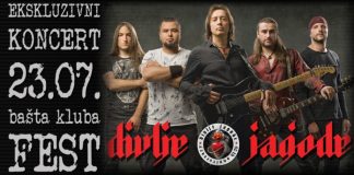 Divlje jagode – Ekskluzivni koncert u Festu!