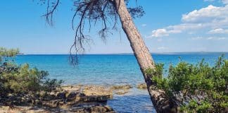 Prva pomoć za kožne probleme na moru