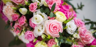 Poklon 101 ruža – Vrednost i značenje koje doseže unazad 101 godinu