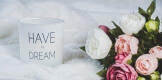 CVETNE DEKORACIJE: OD REVIJA, KONCERATA, STOLOVA ZA PROSLAVE DO ZELENIH OAZA I HOLIVUDSKIH DVORIŠTA cevec u kuci i na poslu