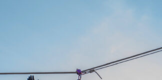 FAZI MRAZ – Novogodišnji paketići stižu Fazi Mrazovi