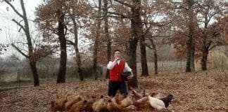 Baby Lasagna najavio prvi solo koncert u Novom Sadu Baby Lasagna